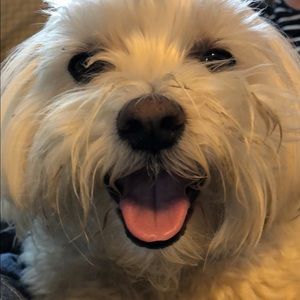 Meet your Posher, Kelsey